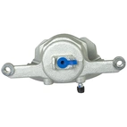 Jarrusatula sopii Suzuki