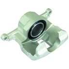 Jarrusatula sopii Suzuki