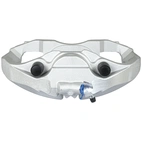 Jarrusatula sopii BMW