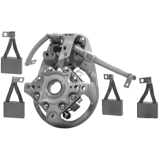 Hampaaton valgohihnan laakeri erist.