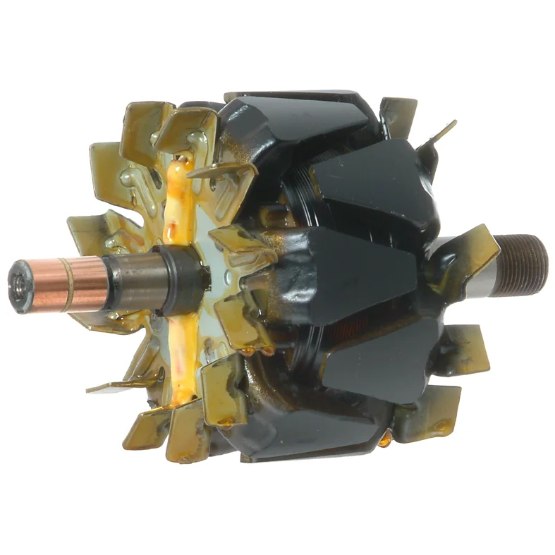 Roottori 12V-100A