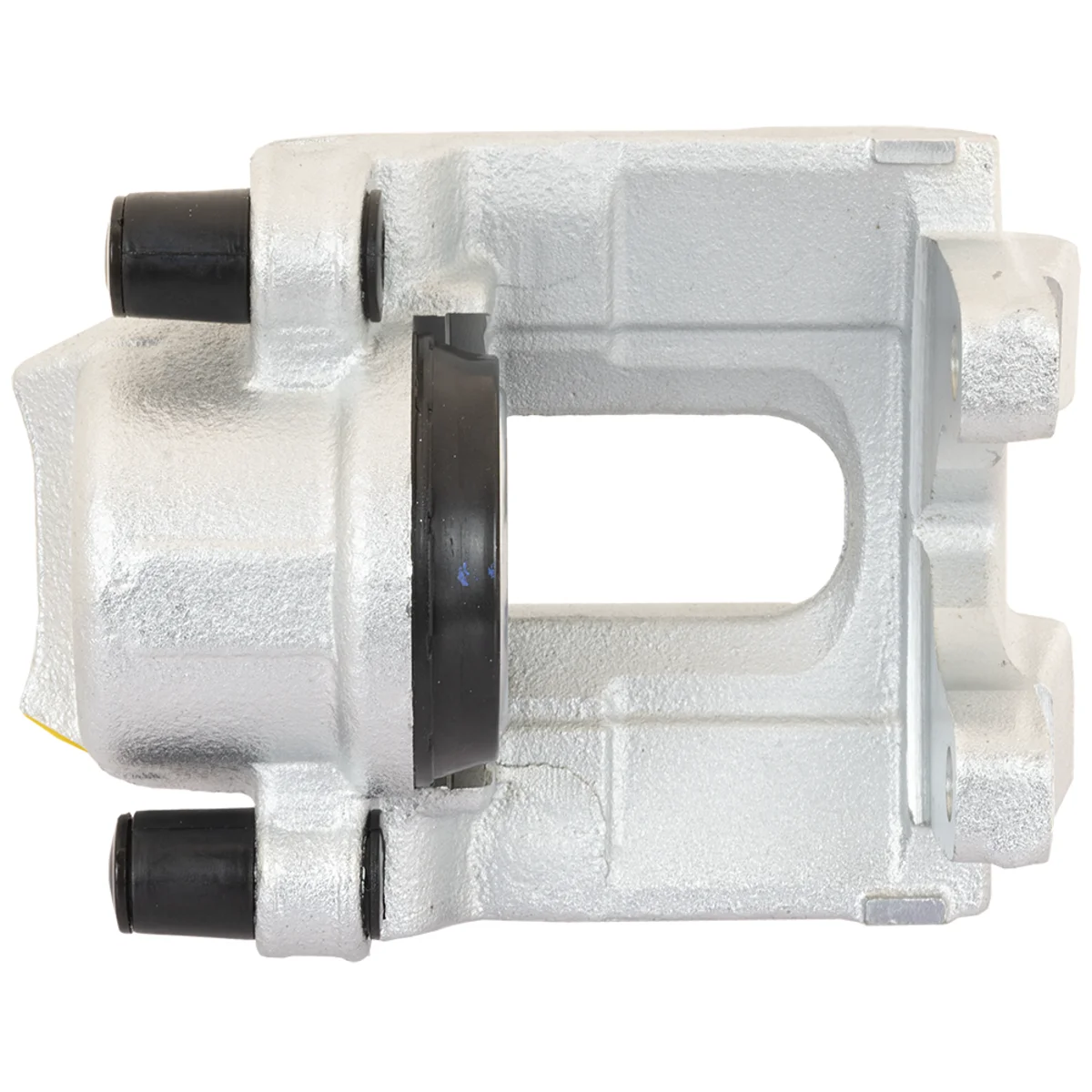 Jarrusatula sopii BMW