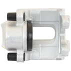 Jarrusatula sopii BMW