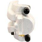 Jarrusatula sopii BMW