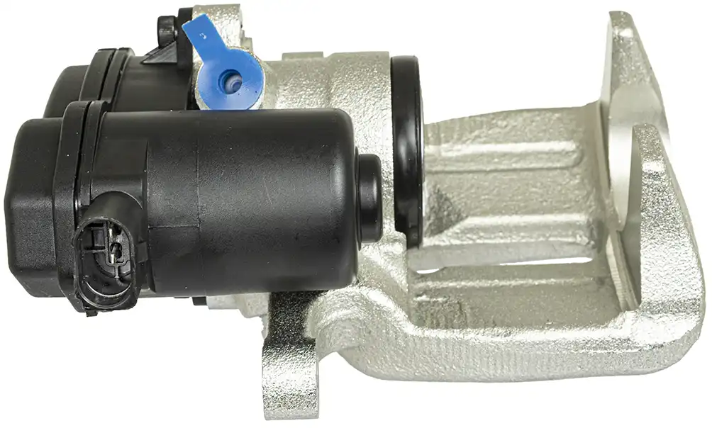 Jarrusatula sopii Audiin