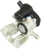 Jarrusatula sopii Audiin