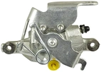 Jarrusatula sopii Ford