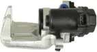 Jarrusatula sopii Audiin
