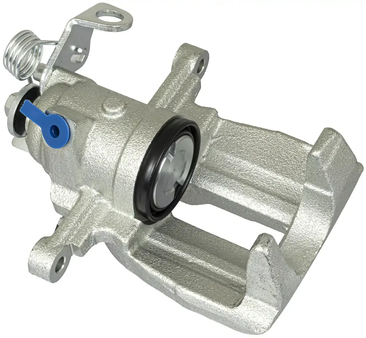 Jarrusatula sopii VW