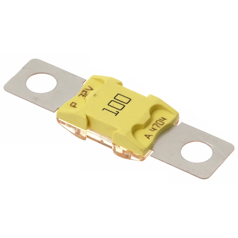 Suojaruuv MEGA 100A, 5 kpl/pss