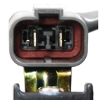 Kahdella jäähdytimen tuulettimella Honda Accord