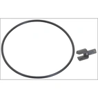 Kallistus- ja säätömoottori Evinrude