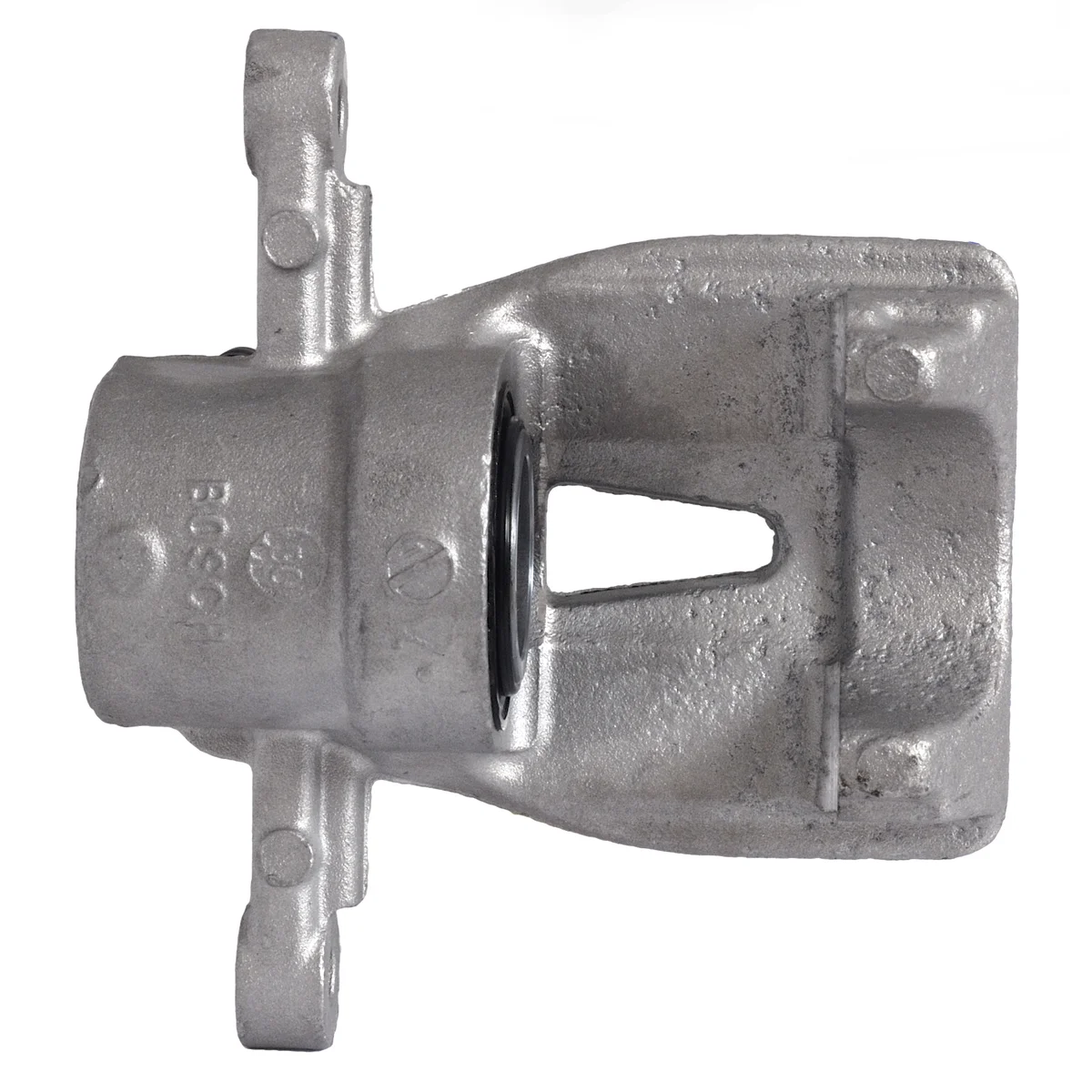 Jarrusatula sopii Toyota