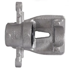 Jarrusatula sopii Toyota