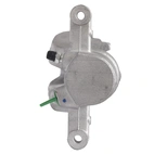 Jarrusatula sopii Toyota