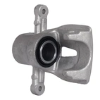 Jarrusatula sopii Toyota