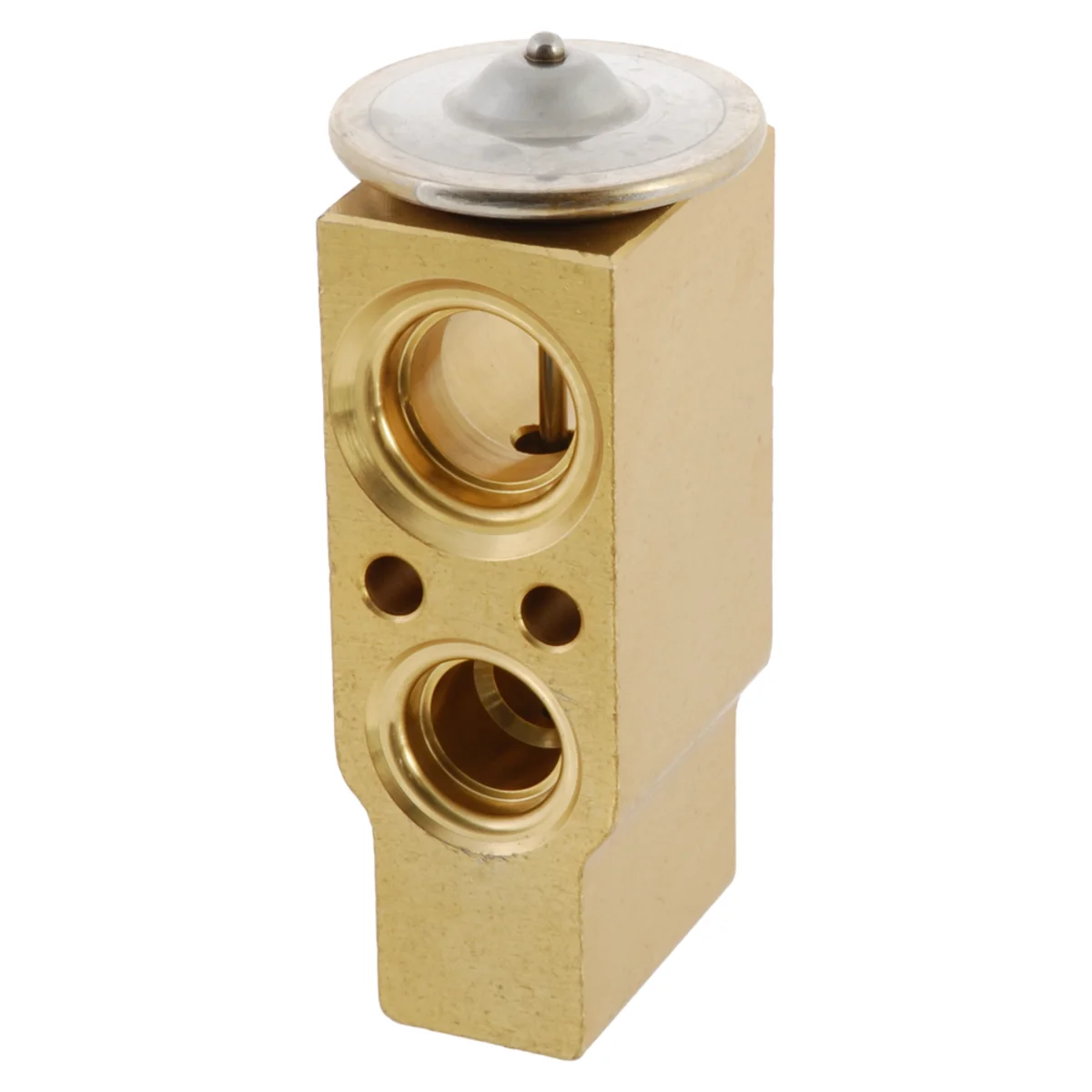 Paisuntaventtiili Renault/Citr