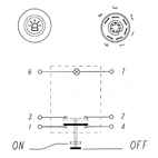 Painetunnistin Rotaorin valo